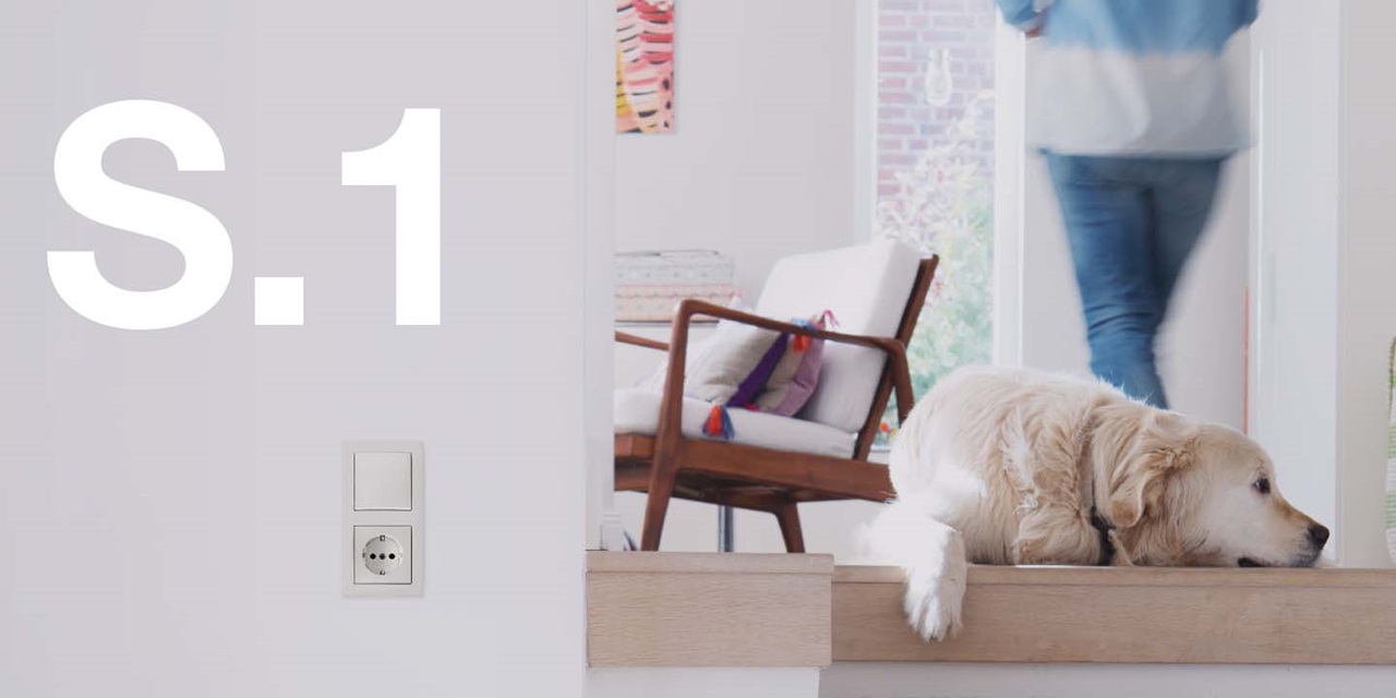 S.1 series light switch and power outlet on a white wall in a modern home interior with a dog lying down and a person walking in the background
